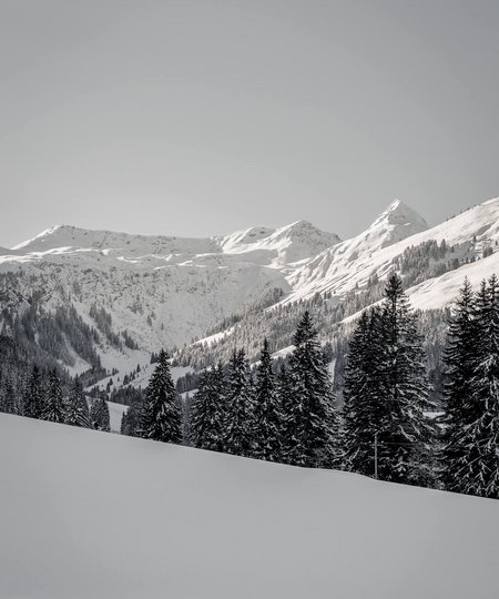 Bergpanorama Talschluss Hinterglemm im Winter