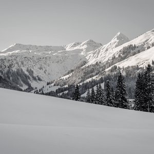 5 Gründe fürs Marten